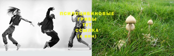 мдпв Балабаново
