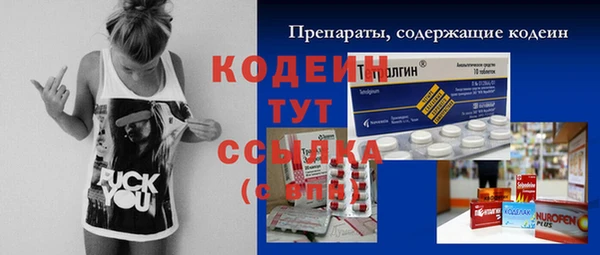 шишки Осинники