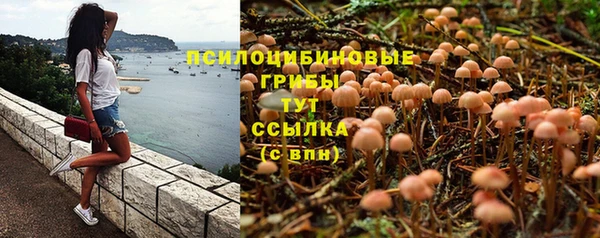 PSILOCYBIN Беломорск