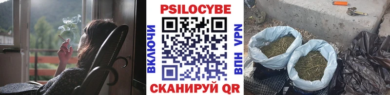 Псилоцибиновые грибы ЛСД  хочу   KRAKEN сайт  Чкаловск 